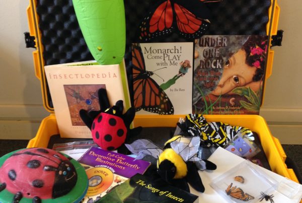 CoS Bug and Butterfly Science Trunk