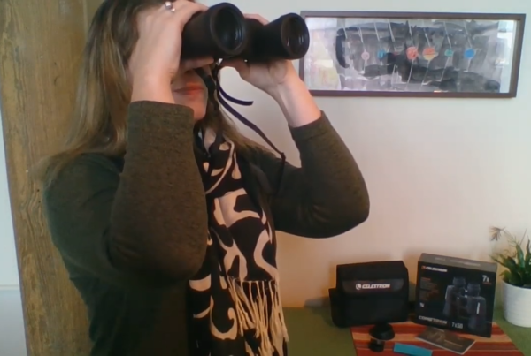 Still image from How To Use Binoculars video