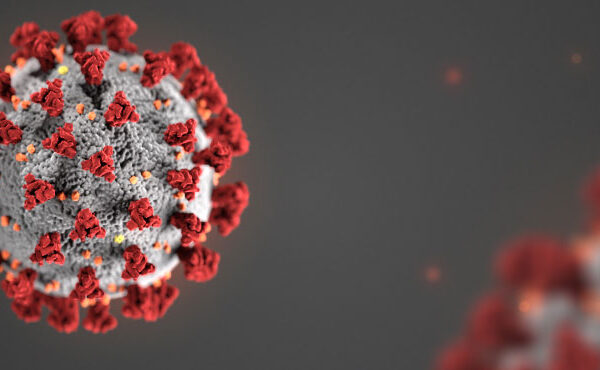 Computer render of a coronavirus