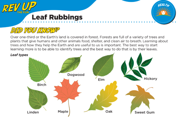Screenshot of Leaf Rubbings activity